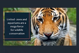 Zoos and Aquariums Join Forces to Advance Global Goals for Protecting Wildlife and Wild Places 
